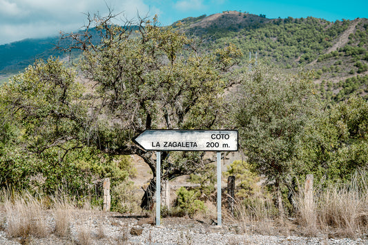 THE SIGN - La Zagaleta